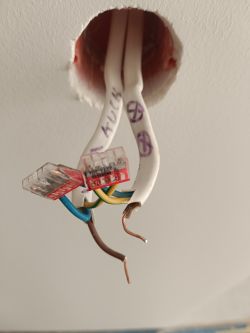 Trzy przewody elektryczne wychodzące z sufitu z widocznymi końcówkami miedzianymi i złączkami.