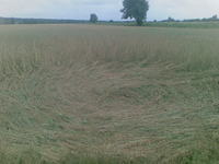 KONKURS!!! "Ciekawe zjawisko meteorologiczne"- Wyniki!