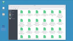 Instalacja VeraCrypt na Debianie (Whonix) - veracrypt-1.25.9-Debian-11-amd64.deb
