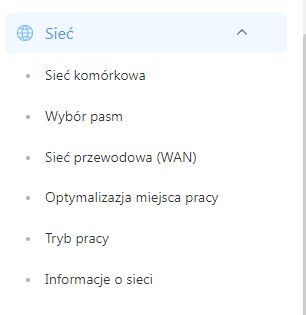 Menu routera ZTE – sekcja „Sieć” z listą opcji konfiguracji połączenia