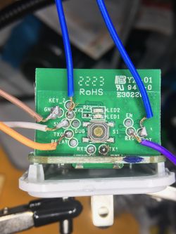Tasmota replacement for BL602, programming, pairing with Home Assistant, now with OTA working!