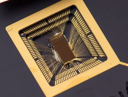 Zbliżenie na prototypowy chip RISC-V z widocznymi złotymi ścieżkami.