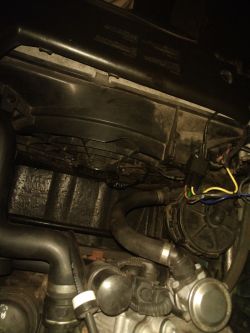 Bmw e 46 318i - Nie wyłączający się wentylator chłodnicy