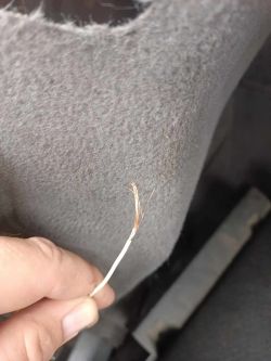 Zbliżenie na biały przewód z odsłoniętym drutem w samochodzie.