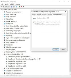 Okno Menedżera urządzeń z ustawieniami urządzenia wejściowego USB.