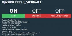 Electrical panel with voltage and power information