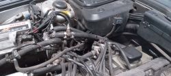 Silnik BMW E34 z widocznymi połączeniami węży układu chłodzenia i rozdzielaczem