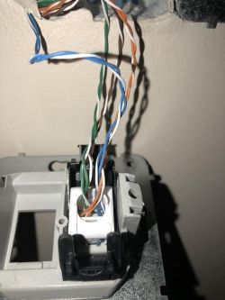 Przewody sieciowe skręcone i wpięte w gniazdo ścienne.