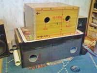 Subwoofer Tonsil ZgN 50-6-511 własnej konstrukcji. Subwoofer Tonsil ZgN 50-6-511 własnej konstrukcji.