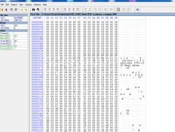 Zrzut ekranu edytora hex z plikiem binarnym flash DSP