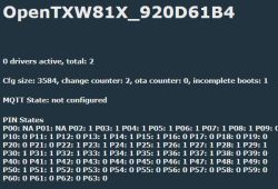 OpenBeken Flag 13: How to View Real-Time GPIO States for Unconfigured Pins?