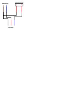 Connecting Capacitor to Dirty Water Pump: Wiring Guide for Numbered Wires and Assembly