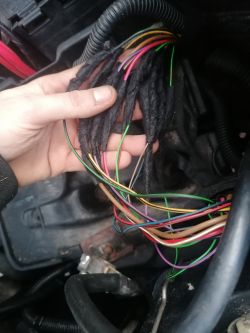 Kwestia odpalania po swapie 1.4 na 2.3 vr5 w Golfie 4 - adaptacja wiązki kabli