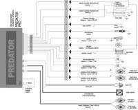 Co to za Predator i co mu dolega?