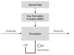 Jak wybrać optymalny układ scalony do zapewnienia cyberbezpieczeństwa