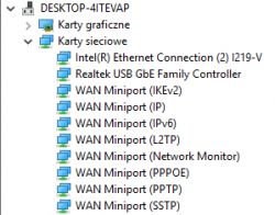Na jednym komputerze internet działa wolniej niż na innych komputerach RJ45 cat6