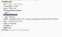 MQTT Messages Window Showing OBK Information Screenshot of an MQTT messages window showing the state information of an OBK device.