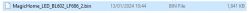File name and properties of a binary file on a Windows file list.