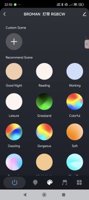 Lighting control app screen (BROMAN RGBW) showing lighting scene selection and a custom scene option.