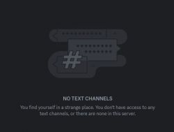 Graphic displaying the message NO TEXT CHANNELS with additional information about the lack of access to text channels on the server.