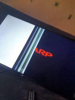 Sharp 40BG4E - działające podświetlenie, połowa obrazu po odpięciu taśmy