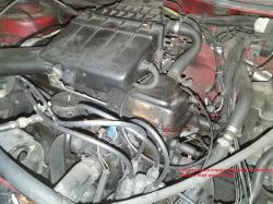 VW Golf II 1.6 PN 70KM - Wyciek oleju z silnika - pokrywa zaworów? VW Golf II 1.6 PN 70KM - Wyciek oleju z silnika - pokrywa zaworów?