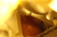 Zmywarka Siemens SE25269EU to na pewno nie płaszcz wodny