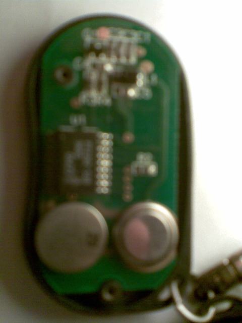 American Legend small 9218