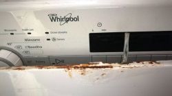 Whirlpool TDLR60210 - korozja klapy, jak działa serwis gwarancyjny?