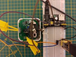 Close-up of an electronic circuit with a socket and adapter on a breadboard.
