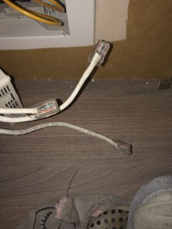 Zbliżenie na kable sieciowe z końcówkami RJ45 obok ściany.
