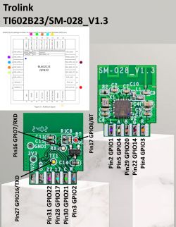 Trolink TI602B23/SM-028_V1.3 module with visible pins and connection diagram.