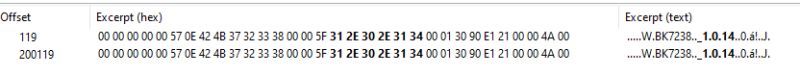 Screenshot showing two rows of binary data with hexadecimal and text preview columns.