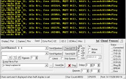 Screenshot of a terminal program showing system logs and serial port settings.