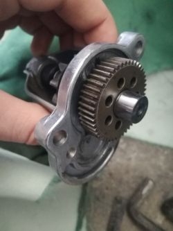 Rozrusznik elektryczny kosiarki nie wyrzuca zębatki