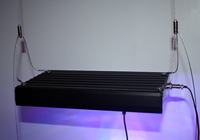 LEDowe oświetlenie do akwarium