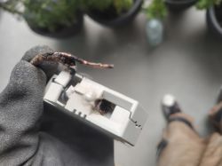 Nadpalony przewód elektryczny trzymany w rękawicy roboczej obok uszkodzonego wyłącznika nadprądowego.