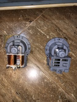 Samsung WW60K42138W - Bardzo głośne buczenie/wycie podczas cyklu