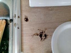 Philips NL9206AD-4 typ GC7833 - Stacja parowa chyba uszkodzona pompa