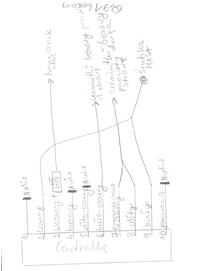 Citroen Xara 2002 - samodzielny montaż sterownika Carprotect BX10