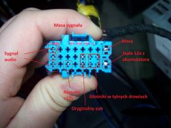 Złącze elektryczne samochodu Audi A4 B6 z widocznymi opisami pinów.