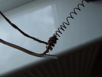 INTEK AR-109 jaka antena poprawi osiągi?