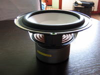 Coto za głośnik? Do czego najlepiej go włożyć?