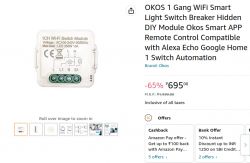 OKOS 1 Gang Switch with countdown and Remember last power state function - HA
