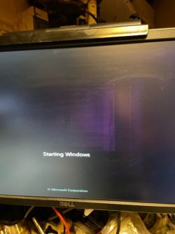Dell P2214H cienie starego obrazu po prawej stronie