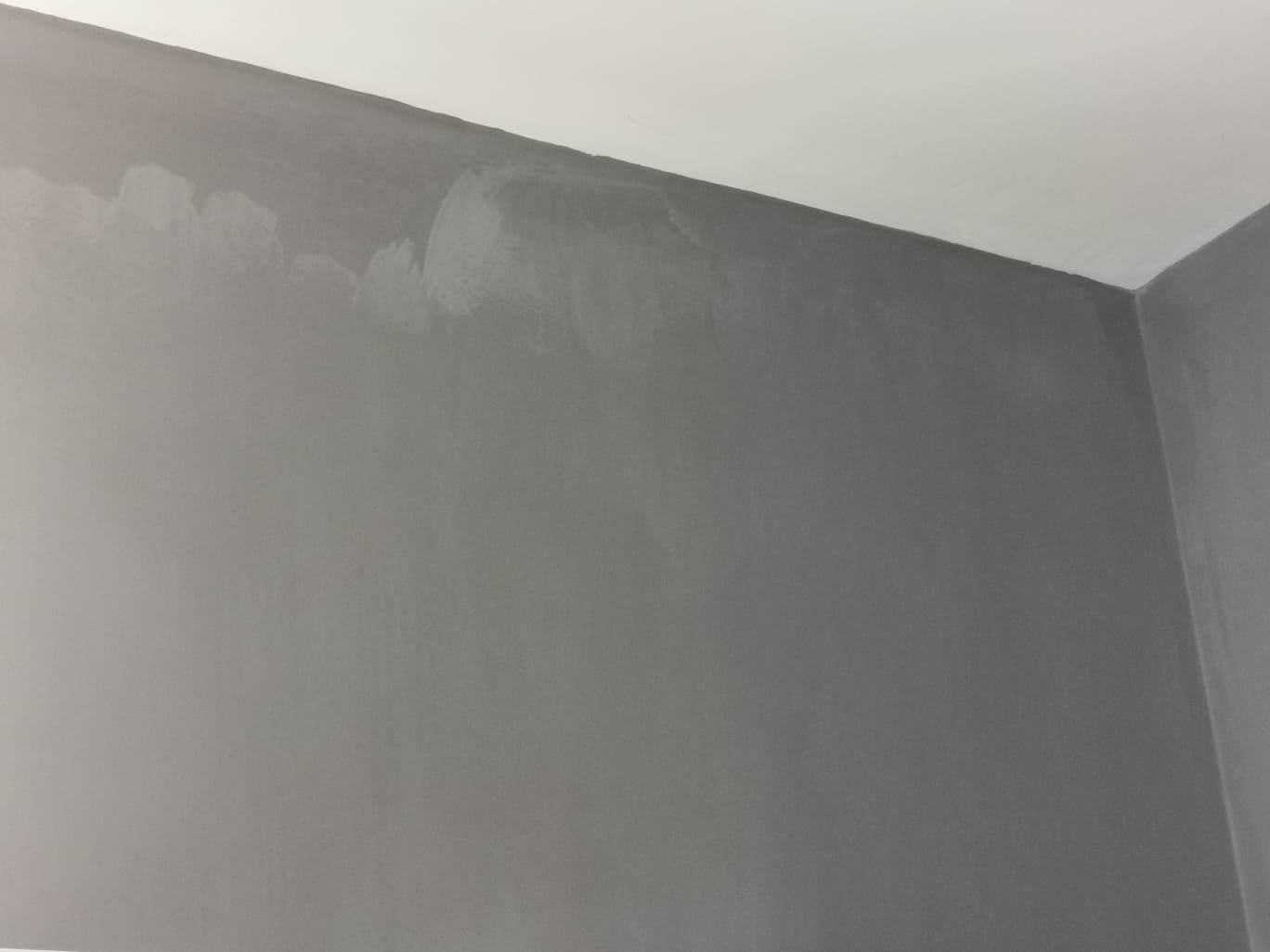 [Solved] White Coating Appearing on Painted Wall After 2 Years: Health ...