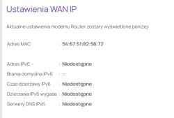 Strona ustawień WAN IP modemu z wyświetlonym adresem MAC i brakiem ustawień IPv6.