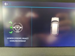 BSI DELPHI series EL HW D6 - TELECODING READING BSI peugeot 208 II corsa F