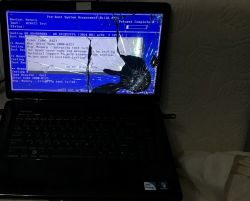 Laptop z niebieskim ekranem diagnostycznym i pękniętą matrycą z dużym uderzeniem po prawej