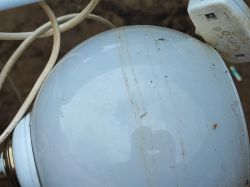 Water Level Line on Dirty Lamp Post-Flood View of a dirty lamp with a visible line indicating the water level after flooding.